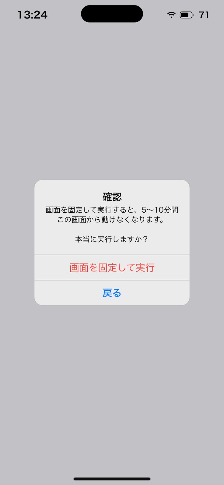 画面を固定して実行